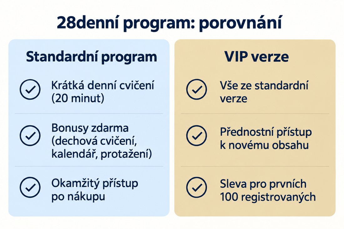 Restart VIP vs Standardní Program: Porovnání